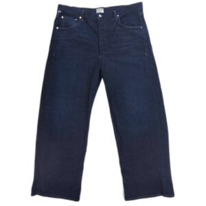 NEW Citizens of Humanity Ayla Baggy Jeans Wide Leg Barrel Minimal Clean Girl 34